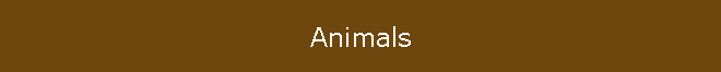 Animals